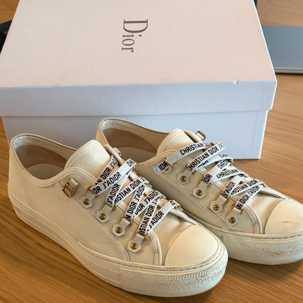 Walk n Dior Canva shoes